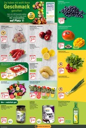 Aktueller GLOBUS Prospekt mit Mango, "Aktuelle Angebote", Seite 10