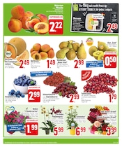 Ähnliche Angebote wie Rasendünger im Prospekt "Aktuelle Angebote" auf Seite 3 von EDEKA in München