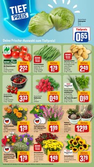 Salat im aktuellen REWE Prospekt (Dortmund) Salat im REWE Prospekt "Dein Markt" mit 32 Seiten (Dortmund)
