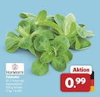 Feldsalat bei combi im Merzen Prospekt für 0,99 €