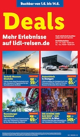 Bett im Lidl Prospekt in Ravensburg Aktueller Lidl Prospekt mit Bett, "LIDL LOHNT SICH", Seite 71