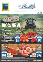 Bratwurst im EDEKA Prospekt in Lüdenscheid Aktueller EDEKA Prospekt mit Bratwurst, "Aktuelle Angebote", Seite 1