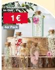 Trockenblumen Angebote bei Woolworth Neuwied für 1,00 €