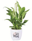Blühpflanzen in Muttertagskeramik bei Lidl im Prospekt "" für 2,99 €