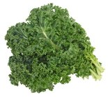 Grünkohl Angebote bei REWE Herford für 2,79 €