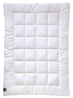 Aktuelle Bettdecke Angebote bei Möbel Martin in Saarbrücken Aktuelles Faserbettdecke Angebot bei Möbel Martin in Saarbrücken ab 29,99 €