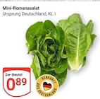 Mini-Romanasalat im Angebot bei GLOBUS in Rostock Mini-Romanasalat Angebote bei GLOBUS Rostock für 0,89 €