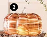 Aktuelle Kürbis Angebote bei Dehner Garten-Center in Darmstadt Aktuelles LED-KÜRBIS Angebot bei Dehner Garten-Center in Darmstadt ab 17,99 €