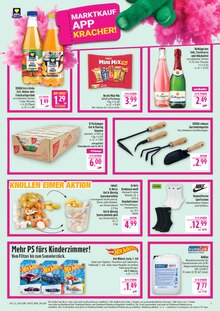 Tomaten im aktuellen Marktkauf Prospekt (Nürnberg) Tomaten im Marktkauf Prospekt "AUSWAHL RIESIG, PREISE NIEDRIG" mit 44 Seiten (Nürnberg)
