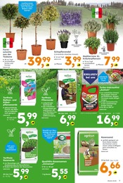 Aktueller Globus-Baumarkt Prospekt mit Blumen, "Immer eine Idee besser", Seite 7