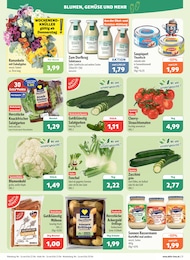 Gemüse Angebot & Preis im aktuellen aktiv & irma Prospekt Gemüse Angebot im aktuellen aktiv & irma Prospekt auf Seite 3