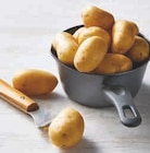 Pomme de terre de consommation lavée à Super U dans Varennes-Saint-Sauveur Pomme de terre de consommation lavée à Super U dans Varennes-Saint-Sauveur