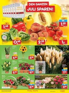 Pflanzen im aktuellen Netto Marken-Discount Prospekt (Chemnitz) Pflanzen im Netto Marken-Discount Prospekt "Aktuelle Angebote" mit 53 Seiten (Chemnitz)