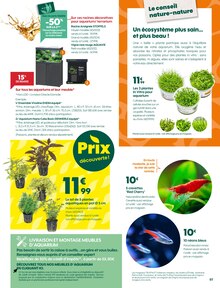 Promo Cochon D'inde dans le catalogue Truffaut du moment à la page 7