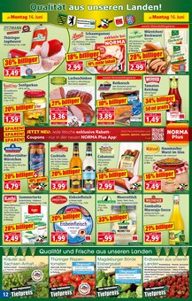 Becks Angebot im aktuellen Norma Prospekt auf Seite 13