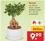 Bonsai im Angebot bei Netto Marken-Discount in Bonn Bonsai Angebote bei Netto Marken-Discount Bonn für 9,99 €
