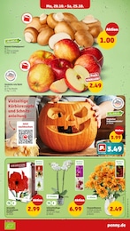 Halloween Angebot & Preis im aktuellen Penny Prospekt Halloween Angebot im aktuellen Penny Prospekt auf Seite 3