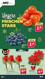 Aktueller Netto mit dem Scottie Prospekt mit Weihnachtsstern, "Günstig. Besser. Für Dich.", Seite 2