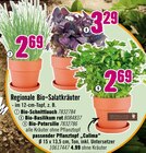 Regionale Bio-Salatkräuter bei Hornbach im Velten Prospekt für 2,69 €