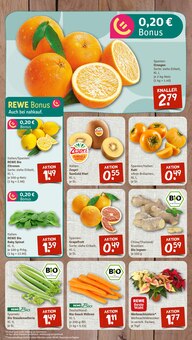 Pflanzen im aktuellen nahkauf Prospekt (Heidelberg) Pflanzen im nahkauf Prospekt "nichts liegt näher" mit 8 Seiten (Heidelberg)