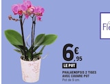 Phalaenopsis 2 tiges avec couvre pot en promo chez E.Leclerc Limoges à 6,95 €