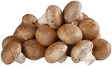 Braune Champignons Angebote von REWE Regional bei REWE Karlsruhe für 1,49 €