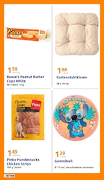 Action Stuhlkissen im Prospekt Action Stuhlkissen im Prospekt