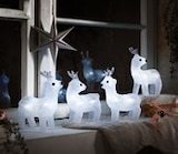 Angebot im Kaufland Hamburg Prospekt Kaufland Hamburg Prospekt mit im Angebot für 14,99 €