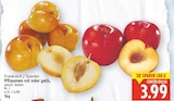 Pflaumen rot für 3,99 € bei E center im Angebot Pflaumen rot im aktuellen E center Prospekt