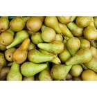 Poire Conférence dans le catalogue Carrefour Market