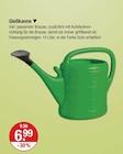 GieĂkanne im V-Markt Prospekt GieĂkanne von im aktuellen V-Markt Prospekt fĂŒr 6,99 âŹ