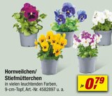 toom Baumarkt Konstanz Angebote im Prospekt und Katalog