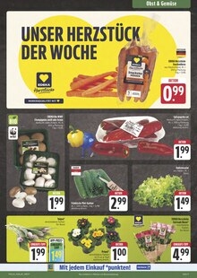 Pflanzen im aktuellen E center Prospekt (Fürth) Pflanzen im E center Prospekt "Wir lieben Lebensmittel!" mit 28 Seiten (Fürth)