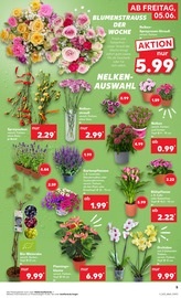 Balkonpflanzen im Kaufland Prospekt in Beckum Aktueller Kaufland Prospekt mit Balkonpflanzen, "Hier bin ich richtig", Seite 12