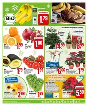 Drucker im EDEKA Prospekt in Friedrichshafen Aktueller EDEKA Prospekt mit Drucker, "Hochgenuss & Tiefpreise", Seite 5
