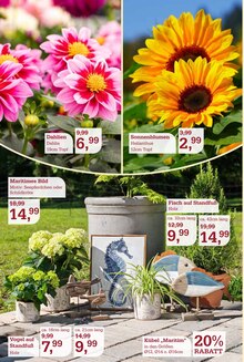 Pflanzen im aktuellen Garten-Center Nordharz GmbH & Co. KG Prospekt (Hannover) Pflanzen im Garten-Center Nordharz GmbH & Co. KG Prospekt "Zeit zum Verweilen" mit 16 Seiten (Hannover)