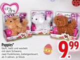 Puppies Angebote von Chi Chi Love bei EDEKA Ravensburg für 9,99 €