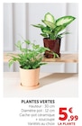 Plantes vertes en promo chez U Express Poitiers à 5,99 €