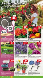 Gartendeko im Raiffeisenmarkt Prospekt in Recklinghausen Aktueller Raiffeisenmarkt Prospekt mit Gartendeko, "Gartenzeit & Spielspaß Wohlfühlen für alle", Seite 6