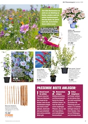 Aktueller OBI Prospekt mit Heckenpflanzen, "Alles Machbar In deinem Garten", Seite 7