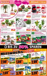 Blumenzwiebeln Angebot im aktuellen Norma Prospekt auf Seite 14