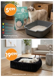 Offre Corbeille Chien dans le catalogue B&M du moment à la page 12