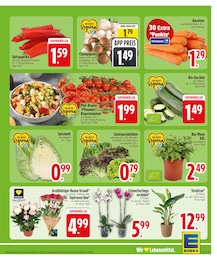 EDEKA Kohl im Prospekt 