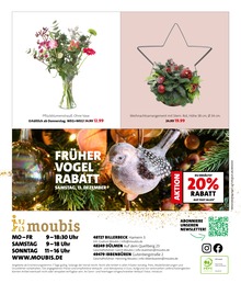 Schnittblumen Angebot im aktuellen Moubis Pflanzenhof Prospekt auf Seite 9