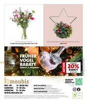Weihnachtsartikel im Moubis Pflanzenhof Prospekt in Osnabrück Aktueller Moubis Pflanzenhof Prospekt mit Weihnachtsartikel, "WEIHNACHTS-KNALLER", Seite 9