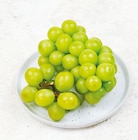 Trauben Autumn Criso im aktuellen Netto mit dem Scottie Prospekt