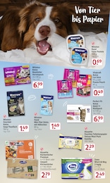 Pute Angebot & Preis im aktuellen Rossmann Prospekt Pute Angebot im aktuellen Rossmann Prospekt auf Seite 19