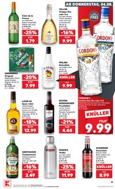Grappa im Kaufland Prospekt in Freiberg Aktueller Kaufland Prospekt mit Grappa, "Hier bin ich richtig", Seite 41