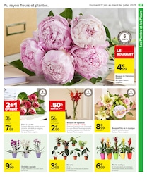 Offre Orchidée dans le catalogue Carrefour du moment à la page 39