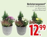 Deko im EDEKA Prospekt Herbstarrangement im aktuellen EDEKA Prospekt für 12,99 €